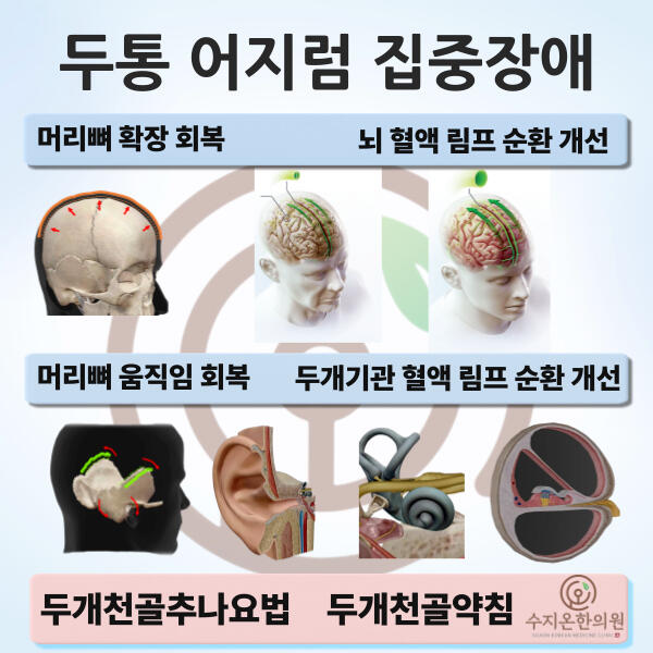 두개추나